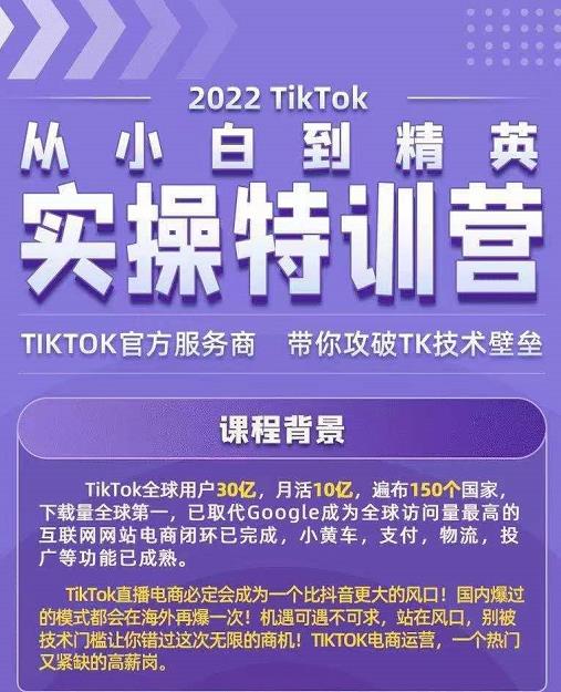 Seven漆·2022Tiktok从小白到精英实操特训营,带你掌握Tiktok账号运营|淘骐网赚资源库