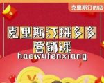 克里斯汀拼多多运营课,适合小白初涉平台,低成本入门|淘骐网赚资源库