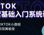 Tiktok实操进阶课程，体验从tiktok小透明到大佬的完美蜕变|淘骐网赚资源库