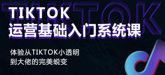 Tiktok实操进阶课程，体验从tiktok小透明到大佬的完美蜕变|淘骐网赚资源库