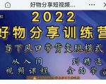 萌飞好物·2022抖音好物分享训练营,当下风口带货变现模式,从入门到精通|淘骐网赚资源库
