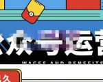 零零已久·从0-1运营公众号,零基础小白也能上手,系统性了解公众号运营|淘骐网赚资源库