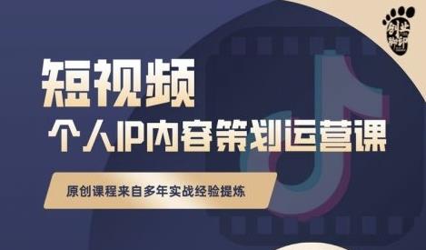 抖音短视频个人ip内容策划实操课,真正做到普通人也能实行落地|淘骐网赚资源库