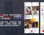 麦子互娱短视频带货·0基础做好物分享账号,无需出镜无需货源无需拍摄|淘骐网赚资源库