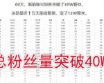 倪叶明·蓝海公众号矩阵项目训练营,0粉冷启动,公众号矩阵账号粉丝突破30w|淘骐网赚资源库