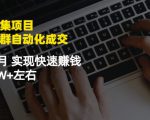 虚拟图集项目:矩阵站群自动化成交,3-5个月实现快速赚钱月入1W+左右|淘骐网赚资源库