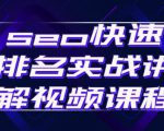 seo快速排名实战讲解视频课程，揭秘seo快排原理|淘骐网赚资源库