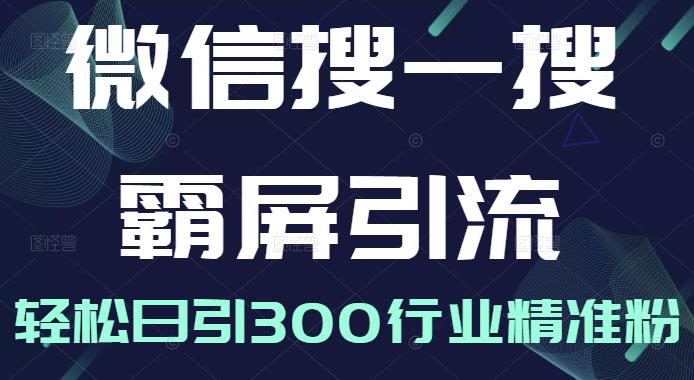 微信搜一搜霸屏引流课,打造被动精准引流系统,轻松日引300行业精准粉|淘骐网赚资源库
