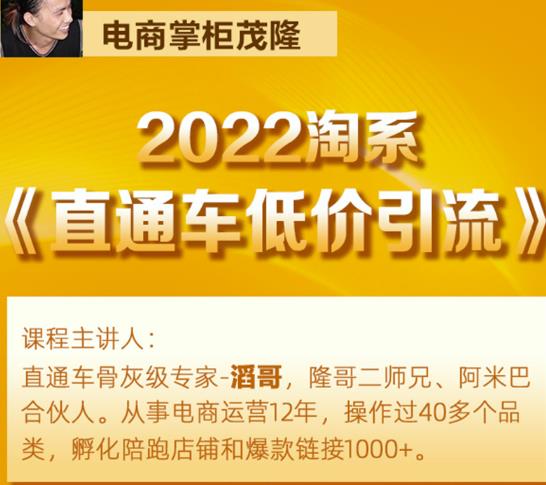 茂隆2022直通车低价引流玩法,教大家如何低投入高回报的直通车玩法|淘骐网赚资源库
