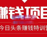 懒人领域·今日头条项目玩法，头条中视频项目，单号收益在50—500可批量|淘骐网赚资源库