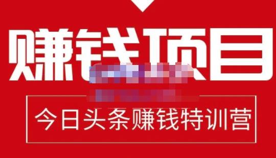 懒人领域·今日头条项目玩法,头条中视频项目,单号收益在50—500可批量|淘骐网赚资源库