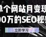 单个网站月变现100万的SEO秘密,百分百做出赚钱站点|淘骐网赚资源库
