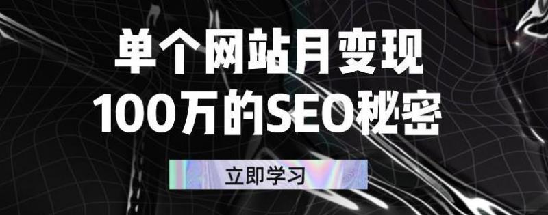 单个网站月变现100万的SEO秘密,百分百做出赚钱站点|淘骐网赚资源库
