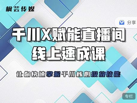 枫芸传媒-线上千川提升课，提升千川认知，提升千川投放效果|淘骐网赚资源库
