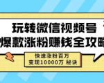 玩转微信视频号爆款涨粉赚钱全攻略，快速涨粉百万变现万元秘诀|淘骐网赚资源库