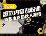 【毒舌电影合伙人亲授】抖音爆款内容涨粉课,5000万抖音大号首次披露涨粉机密|淘骐网赚资源库