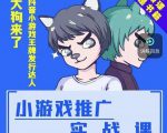大狗来了:小游戏推广实战课,带你搭建一个游戏推广变现账号|淘骐网赚资源库
