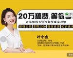 叶小鱼21天短视频文案拆书营,学完轻松搞定各类书单短视频文案|淘骐网赚资源库