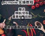 漆十二美食摄影，25​节promovie实操高手课节|淘骐网赚资源库