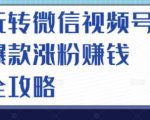 玩转微信视频号爆款涨粉赚钱全攻略,让你快速抓住流量风口,收获红利财富|淘骐网赚资源库
