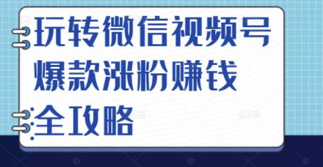 玩转微信视频号爆款涨粉赚钱全攻略,让你快速抓住流量风口,收获红利财富|淘骐网赚资源库