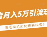 老古董·抖音月入5万引流玩法,看看老司机如何玩转抖音(附赠:抖音另类引流思路)|淘骐网赚资源库