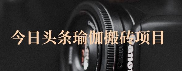 猎人社区·今日头条瑜伽搬砖项目,单号一天几十收入,可以批量操作!|淘骐网赚资源库