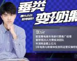 张sir·垂类变现课，抖音带货新手才看粉丝量，高手都看变现效率|淘骐网赚资源库