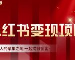 渣圈学苑·小红书虚拟资源变现项目,一起捞钱掘金价值1099元|淘骐网赚资源库