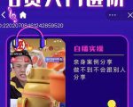 朱白板抖音带货进阶课，实操运营+主播不玩虚的|淘骐网赚资源库