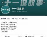 十一说故事·故事性中视频，观众快速共鸣从而快速变现的中视频玩法|淘骐网赚资源库