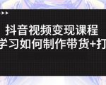 抖音短视频变现课程：带你学习如何制作带货+打造IP【41节】|淘骐网赚资源库
