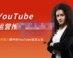 外国人眼中的YouTube该怎么玩？Elisa·YouTube运营推广实战技巧|淘骐网赚资源库