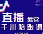 美尊-抖音直播运营千川系统课:直播运营规划、起号、主播培养、千川投放等|淘骐网赚资源库