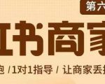 贾真-小红书商家营第6期商家版，21天带货陪跑课，让商家丢掉付流量|淘骐网赚资源库