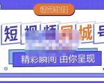 大东·短视频同城号教程,包括搭建思路,版面制作,文案内容,剪辑操作等|淘骐网赚资源库