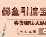 闲鱼引流宝妈粉+卖货赚钱一个月收益30000+(实操视频教程)|淘骐网赚资源库