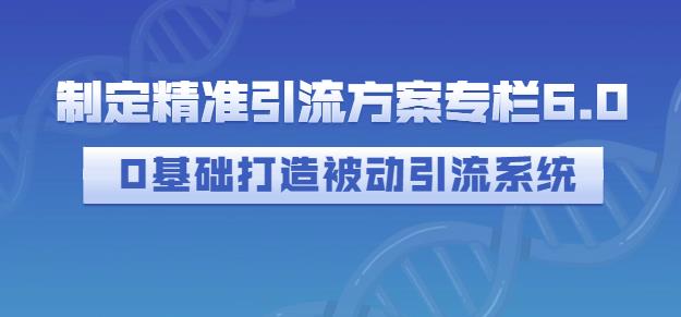 制定精准引流方案专栏6.0,0基础打造被动引流系统|淘骐网赚资源库