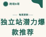 【跨境B哥】独立站潜力爆款选品推荐，测款出单率高达百分之80|淘骐网赚资源库