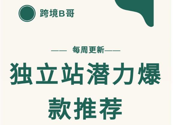 【跨境B哥】独立站潜力爆款选品推荐,测款出单率高达百分之80|淘骐网赚资源库
