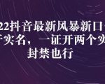 2022抖音最新风暴新口子:多开实名,一整开两个实名,封禁也行|淘骐网赚资源库