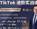 大山老师TikTok进阶实战课:账号详解,流量运营,实战变现,助力你成功出海|淘骐网赚资源库