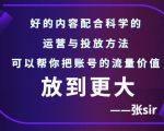 张sir账号流量增长课，告别海王流量，让你的流量更精准|淘骐网赚资源库
