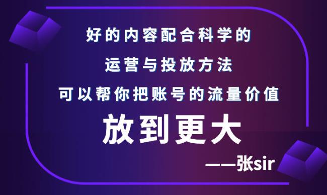 张sir账号流量增长课,告别海王流量,让你的流量更精准|淘骐网赚资源库