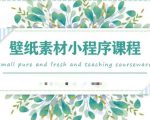 闪闪壁纸号运营教程，抓住图文风口，快速吸粉变现|淘骐网赚资源库