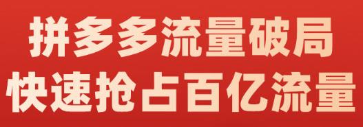 阿杰·拼多多流量破局:如何打黑标，爆款的思路，拼多多流量框架，快速抢占百亿流量|淘骐网赚资源库
