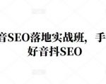 王通·抖音SEO落地实战班,手手带你做好音抖SEO|淘骐网赚资源库