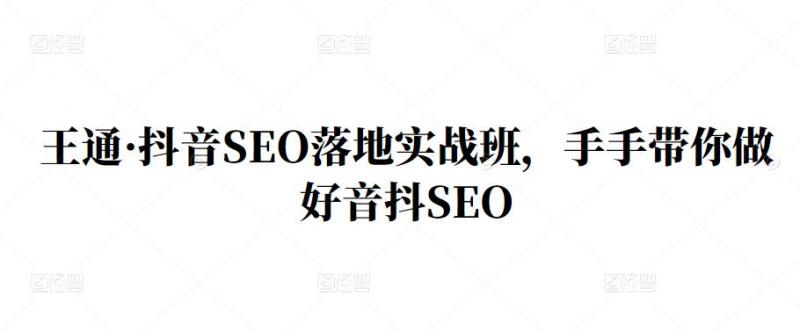 王通·抖音SEO落地实战班，手‬手带你做好音抖‬‬SEO|淘骐网赚资源库