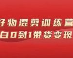 万三好物混剪训练营:小白0到1带货变现课|淘骐网赚资源库