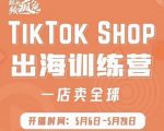 疯人院:TikTok Shop出海训练营(一店卖全球),出海抢占全球新流量|淘骐网赚资源库